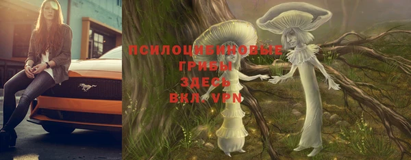 гидра Баксан