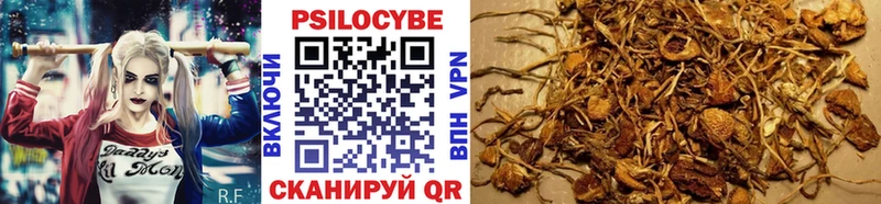 Галлюциногенные грибы MAGIC MUSHROOMS Онега